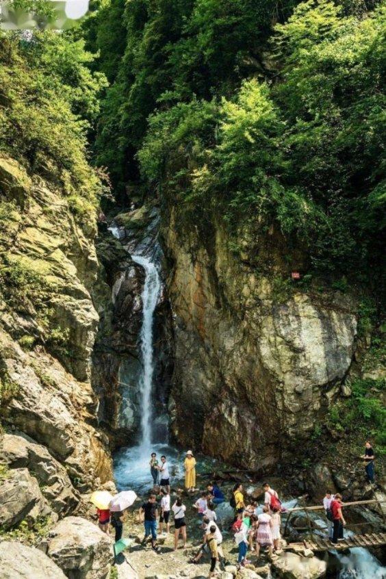 秦海璐蒋龙史策《狗剩快跑》即将定档,是爆笑喜剧还是抗战神剧?